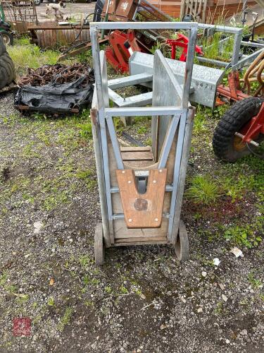 CALF DEHORNING CRATE