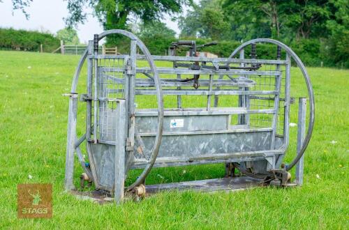IAE SHEEP TURNOVER CRATE