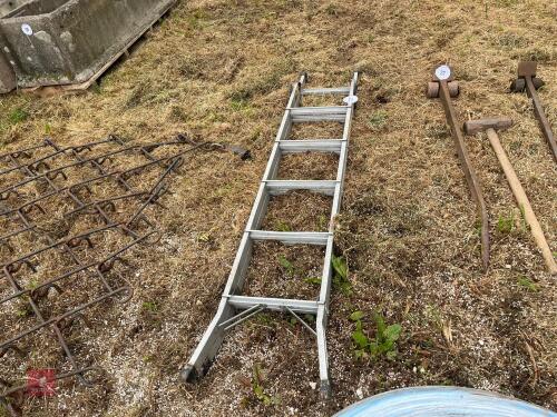 YOUNGMAN ALUMINIUM LADDER/STEP LADDER(21