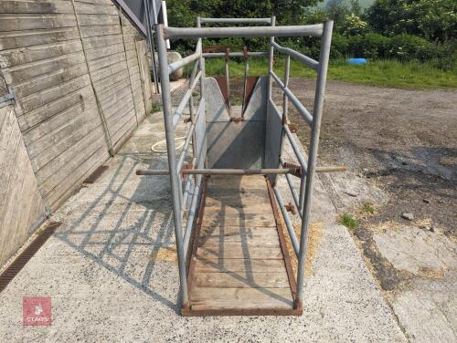 CATTLE CRUSH C/W YOKE DOOR& BACKING BAR