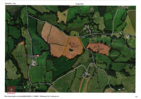 21.1 ACRES OF STANDING PEAS AND BARLEY - 6