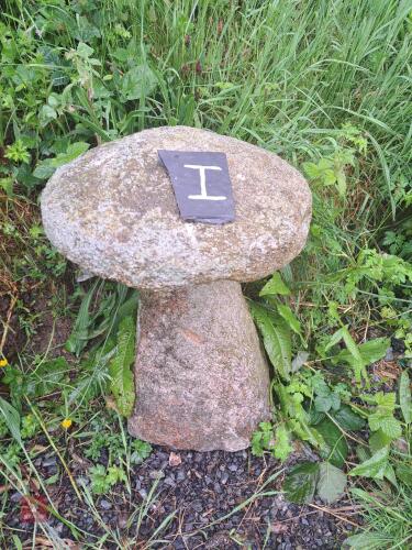 GRANITE MUSHROOM (1)