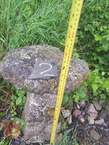 GRANITE MUSHROOM (2)