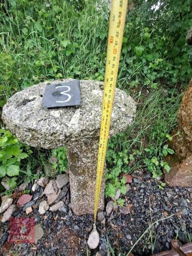 GRANITE MUSHROOM (3)