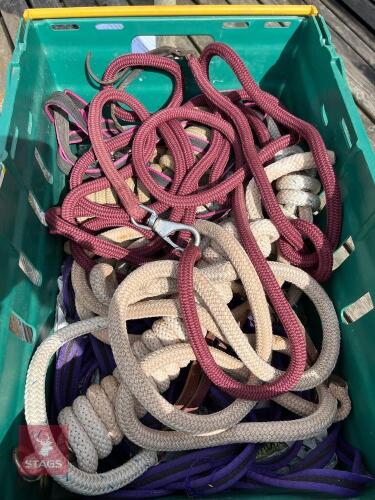 LUNGING ROPE SELECTION