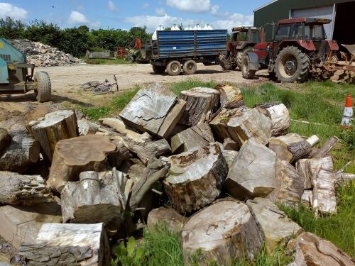 WOOD FROM PINE TREE