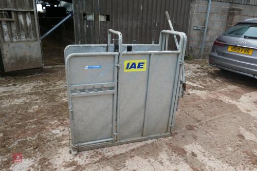 IAE GALVANISED CATTLE DE-HORNING CRATE