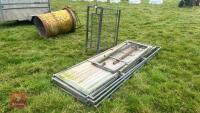 GALVANISED SHEEP HANDLING RACE - 3
