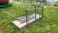 GALVANISED SHEEP HANDLING RACE - 6
