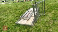 GALVANISED SHEEP HANDLING RACE - 7
