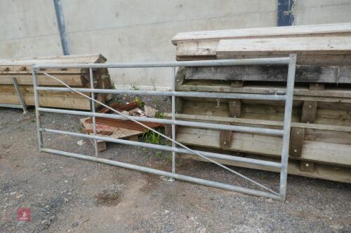 10' GALVANISED YARD GATE
