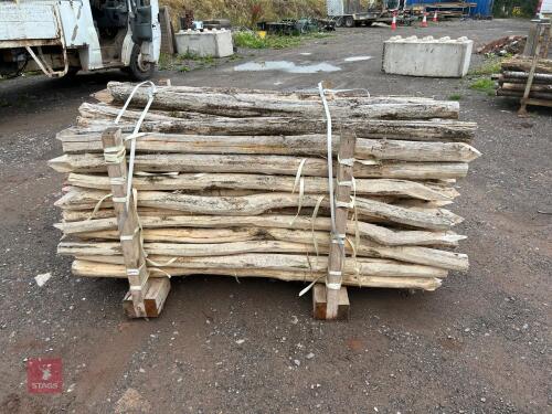 PACK OF RUBINIA 6' FENCING STAKES (1)