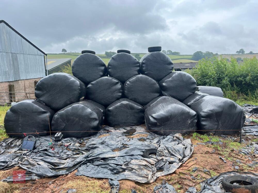 15 ROUND BALES OF 2023 SILAGE (BIDS PER BALE)