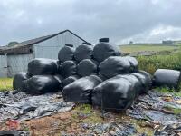 15 ROUND BALES OF 2023 SILAGE (BIDS PER BALE) - 3