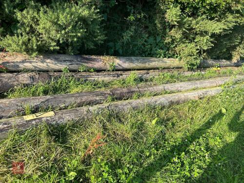 10 LARGE TELEGRAPH POLES