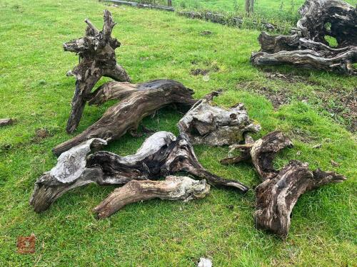 5 PIECES OF ORNAMENTAL TREE TRUNKS