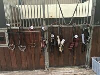 lots 161 - 406 SALE OF HORSE TACK & EQUIPMENT - 5