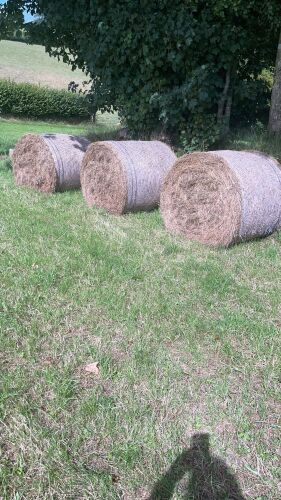 35 ROUD BALES OF 2024 HAY (BIDS PER BALE)