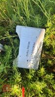 2 PENSTEMO N PINIFOLIUS ' WISLEY FLAME' - 5