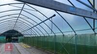 42' X 72' TWIN BAY POLYBUILD POLYTUNNEL - 7