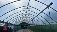 42' X 72' TWIN BAY POLYBUILD POLYTUNNEL - 9