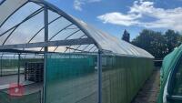 42' X 72' TWIN BAY POLYBUILD POLYTUNNEL - 13