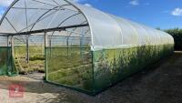 53' X 70' TWIN BAY NORTHERN POLYTUNNEL - 2