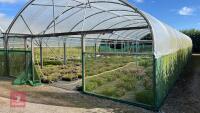 53' X 70' TWIN BAY NORTHERN POLYTUNNEL - 3