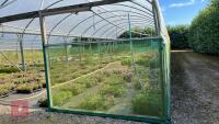 53' X 70' TWIN BAY NORTHERN POLYTUNNEL - 4