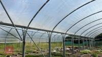 53' X 70' TWIN BAY NORTHERN POLYTUNNEL - 8