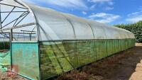 53' X 70' TWIN BAY NORTHERN POLYTUNNEL - 17