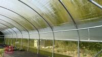106' X 72' FOUR BAY NORTHERN POLYTUNNEL - 14