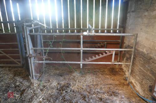 DEXTER GALVANISED CATTLE CRUSH