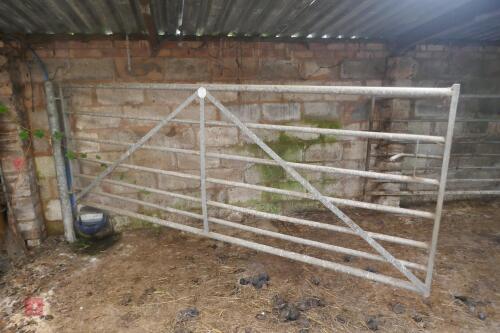 10' GALVANISED YARD GATE