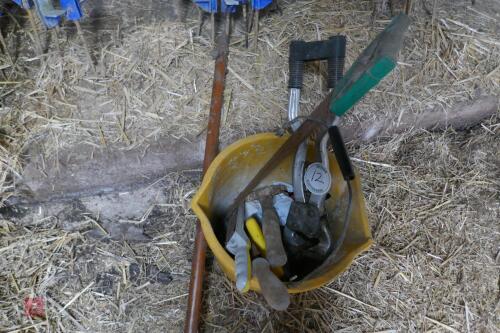 BUCKET OF CATTLE FOOT CLIPPERS ETC