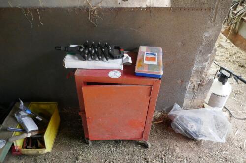 MOBILE TOOL CHEST