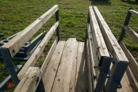 3 WALK THROUGH SHEEP FEEDERS (102) - 10