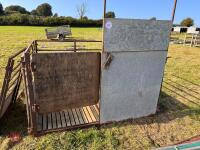 SLATTED SHEARING/HANDLING PEN - 2