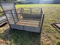 SLATTED SHEARING/HANDLING PEN - 3
