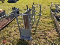 GALVINISED SHEDDING GATE (122) - 3