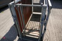 MOBILE SHEARWELL SHEEP EID WEIGH CRATE - 4