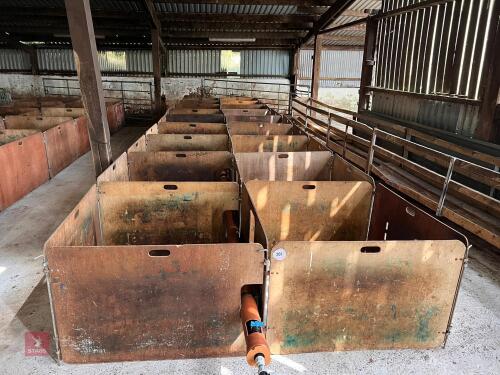 18 SHEARWELL 4' X 4' LAMBING PENS (206)