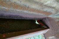 BATEMAN CALF CREEP FEEDER - 14