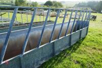 20' CATTLE FEED BARRIER AND TROUGH - 10