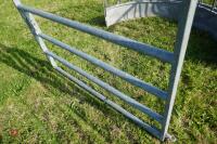 GALVANISED INTERNAL CATTLE GATE (63) - 2
