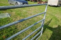 GALVANISED INTERNAL CATTLE GATE (63) - 5