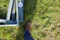 3 GALVANISED SHEEP FEEDER FRAMES (98) - 5
