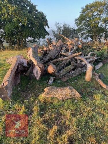 ASH FIREWOOD
