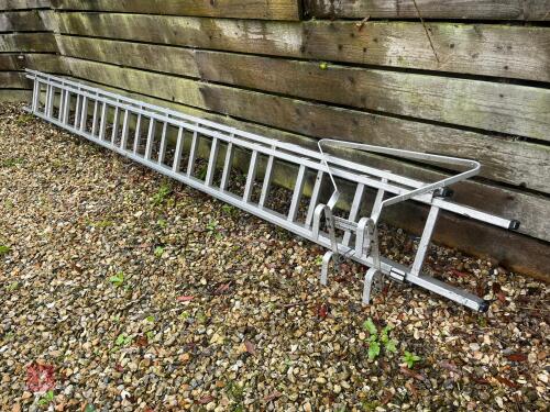 EXTENDING LADDER (299)