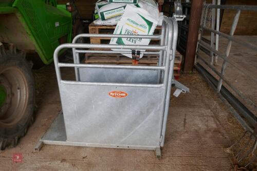 RITCHIE GALVANISED CALF DEHORNING CRATE